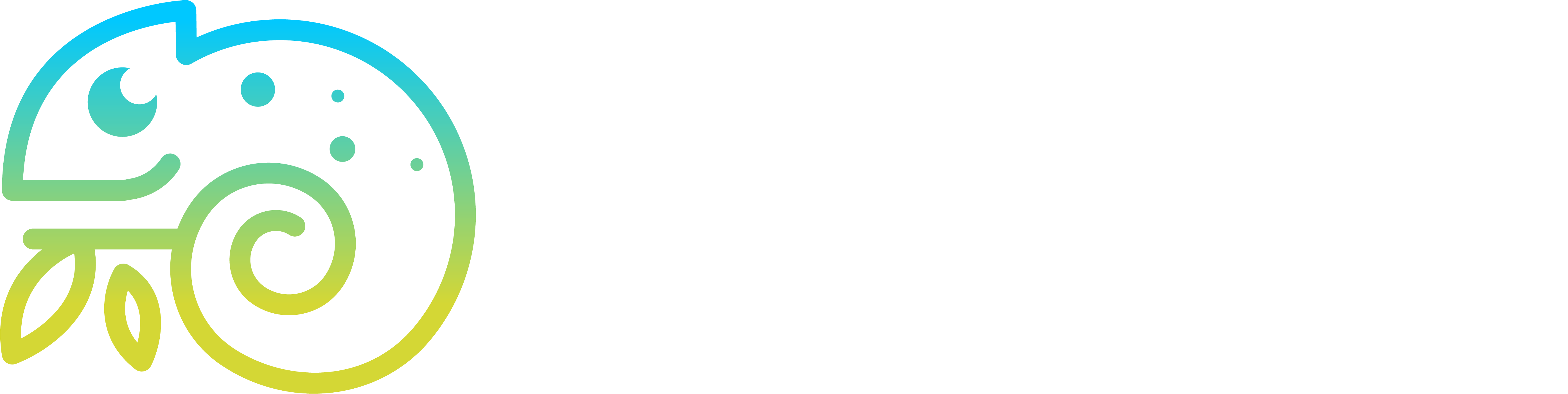 logo dolcevista